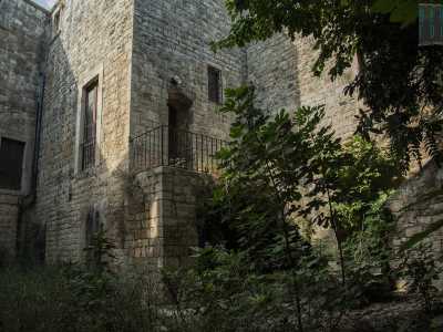 ...ci introduce in un cortile dove a dominare � la vegetazione incolta
